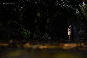 _DRP6335---WEB
